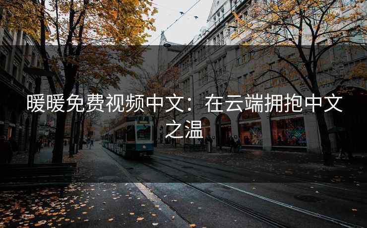 暖暖免费视频中文：在云端拥抱中文之温