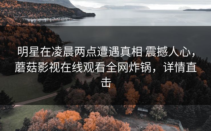 明星在凌晨两点遭遇真相 震撼人心，蘑菇影视在线观看全网炸锅，详情直击
