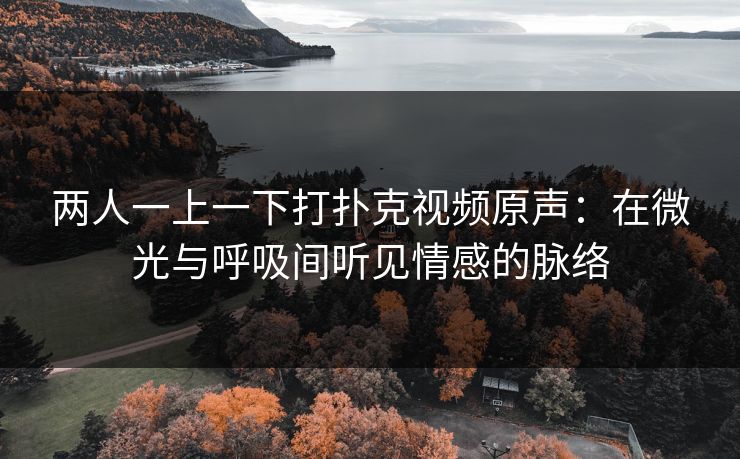 两人一上一下打扑克视频原声：在微光与呼吸间听见情感的脉络